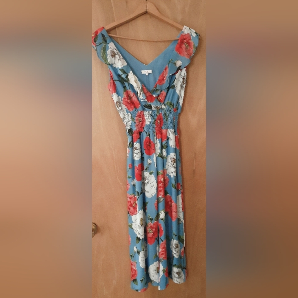 Parker Elara Blue and Red Floral V-Neck Silk Blend Jumpsuit Size 2